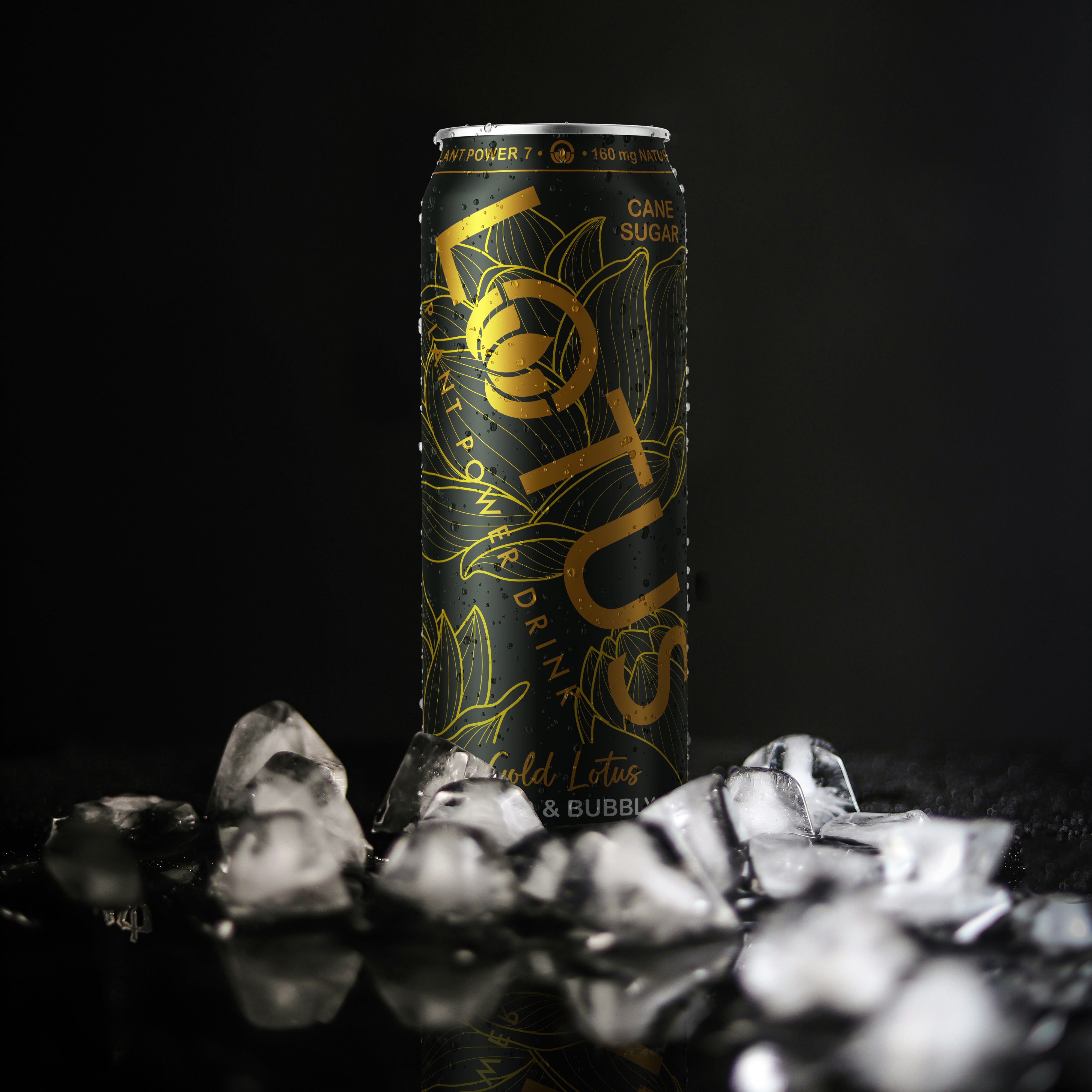 Black_Lotus_Ice.jpg__PID:87eed63f-6225-4667-9d9e-fff36827944d