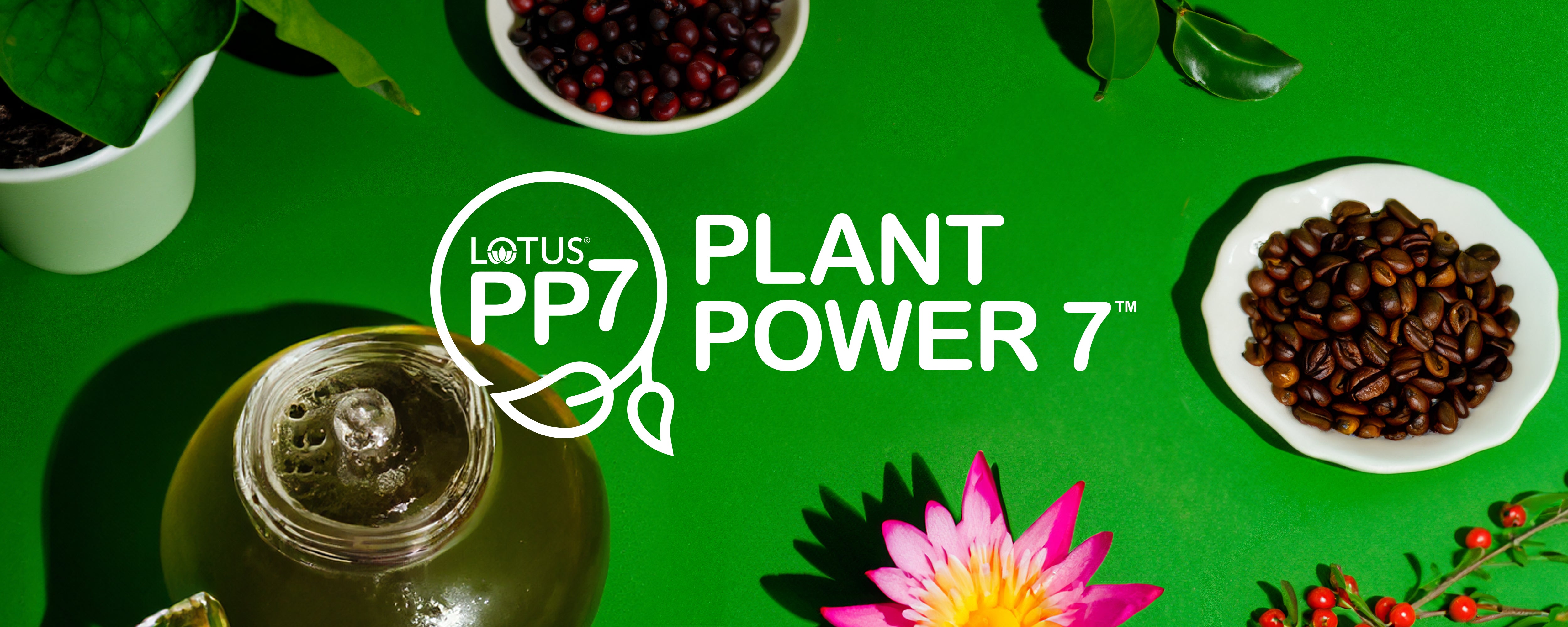 Plant_Power_7_Header.jpg__PID:ad7d49e1-e2b3-4d97-bc5d-e239180c06e7