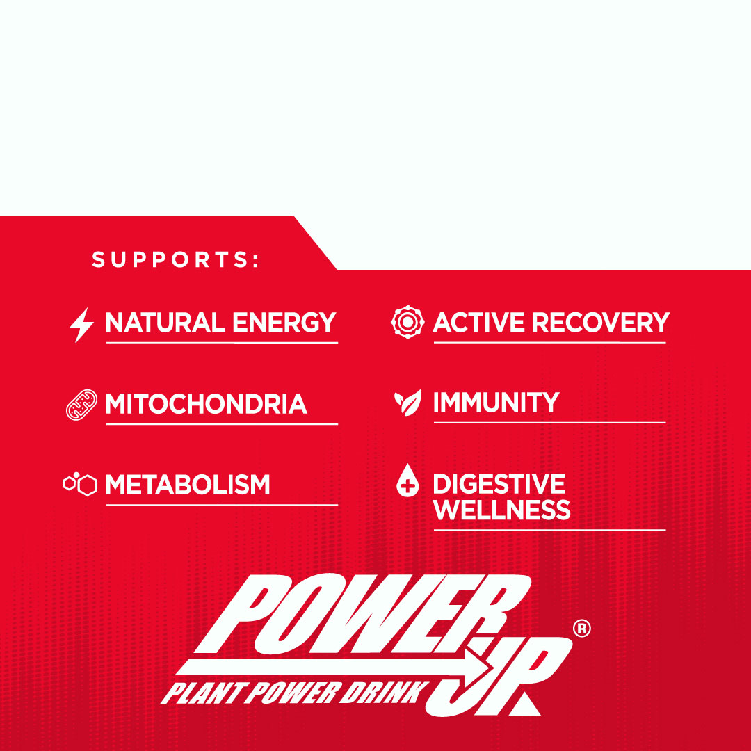 power_up_web_supports.jpg__PID:56319f9a-3ca1-4493-a33d-67465fae4f25