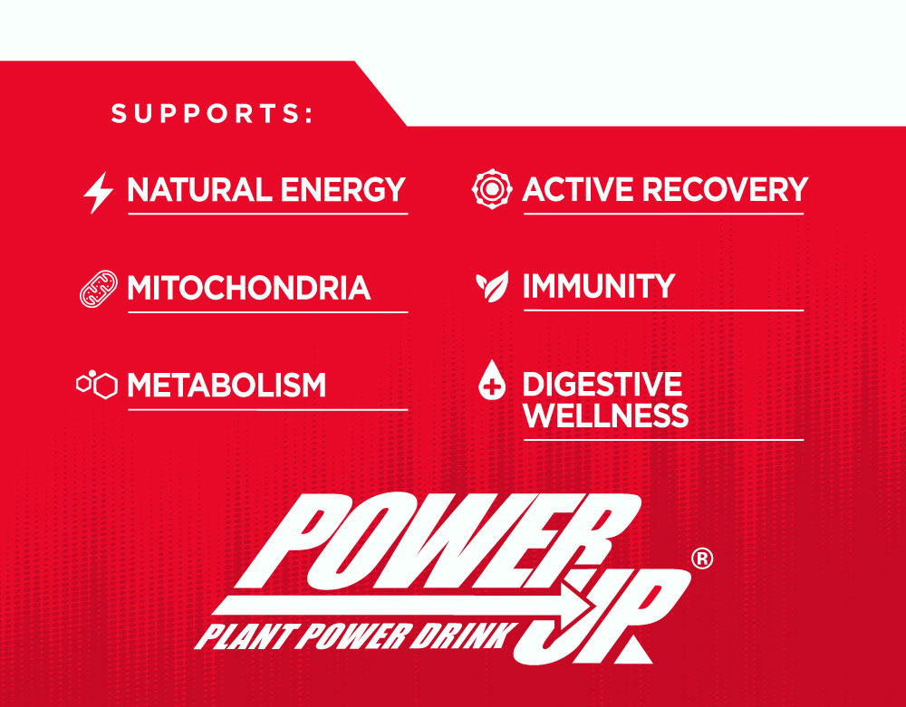 power_up_web_supports_002.jpg__PID:16deee78-8e26-4f83-8ef1-0d0e9bf3da3a