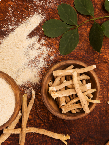 Ashwagandha adaptogen