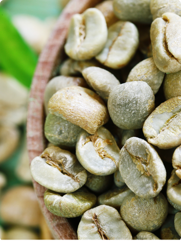 Green Coffee Beans in a bowl